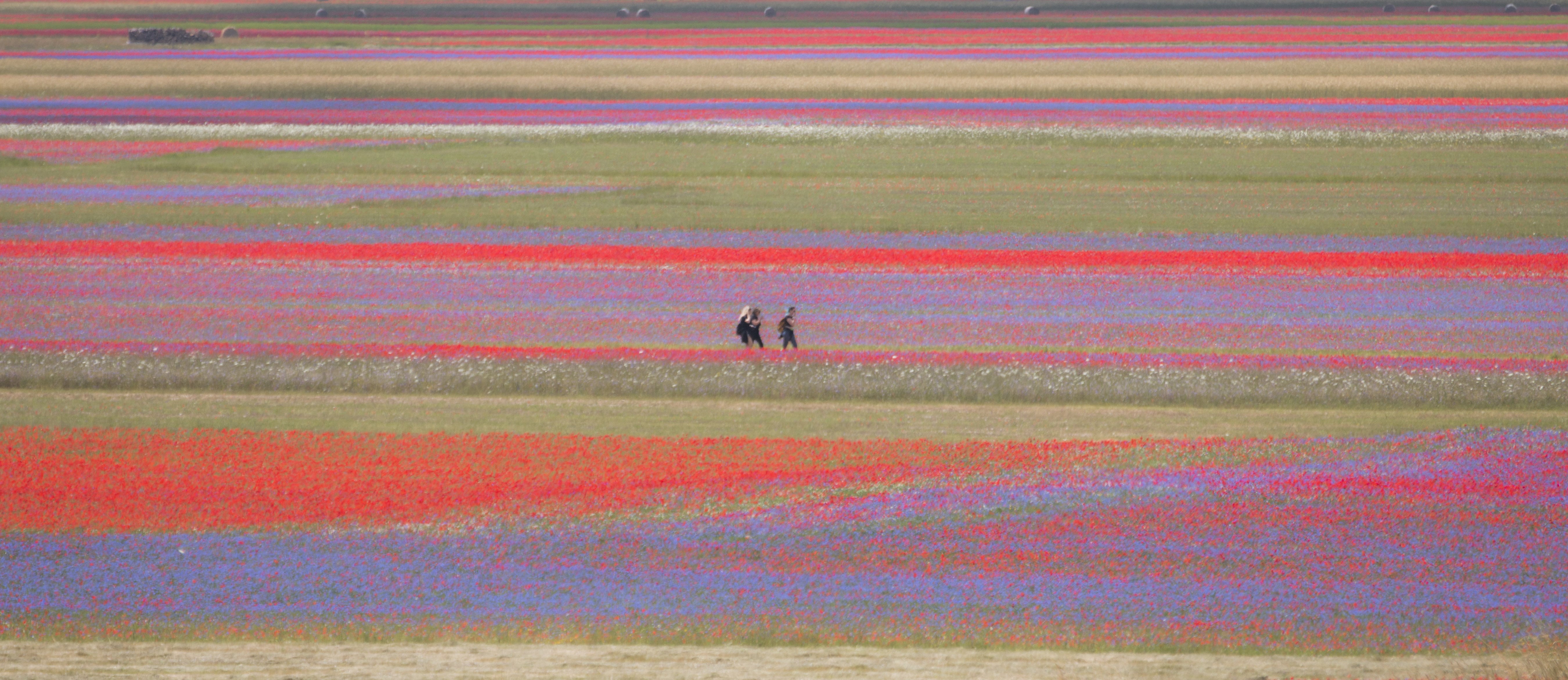 Castelluccio di Norcia