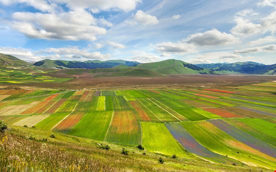 Castelluccio di Norcia Altipiano di Castelluccio stock.adobe.com 