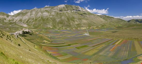 Castelluccio di Norcia Altipiano di Castelluccio stock.adobe.com 