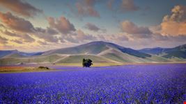 Castelluccio di Norcia
