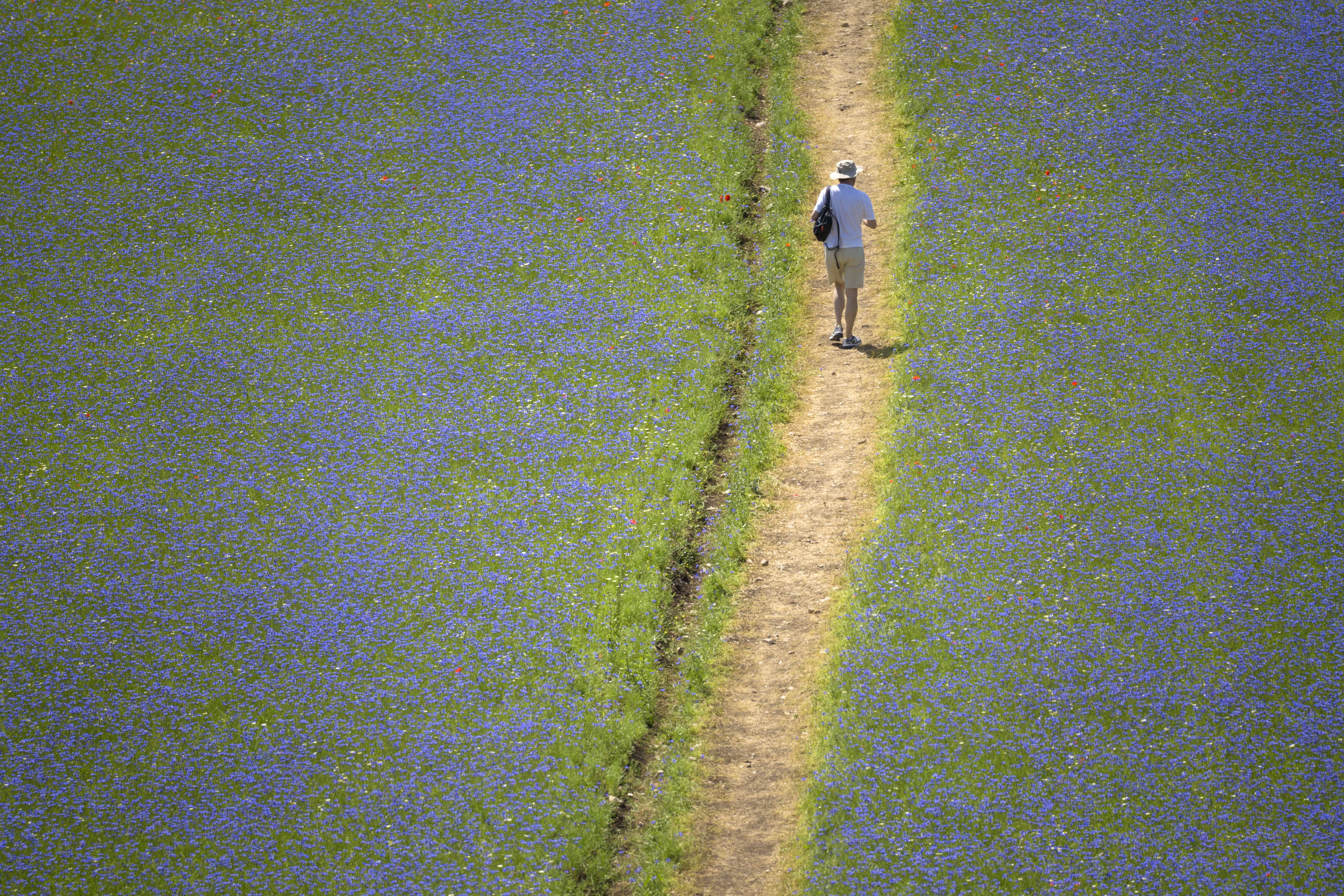 Castelluccio di Norcia