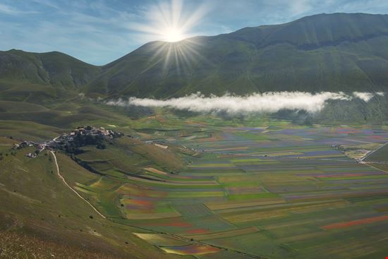 Castelluccio di Norcia Altipiano di Castelluccio stock.adobe.com 