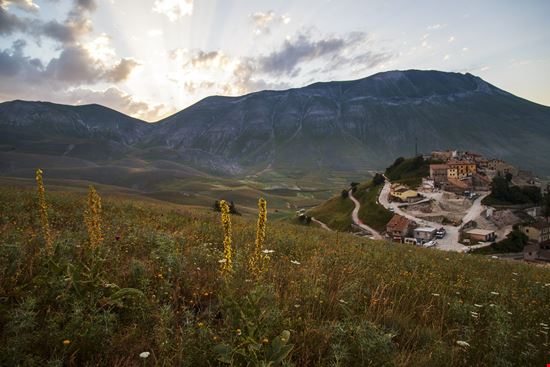 Castelluccio di Norcia Altipiano di Castelluccio stock.adobe.com 