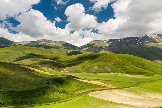 Castelluccio di Norcia Altipiano di Castelluccio stock.adobe.com 