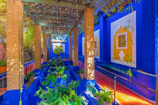 Jardin Majorelle Jardin Majorelle Balate Dorin / Shutterstock.com 