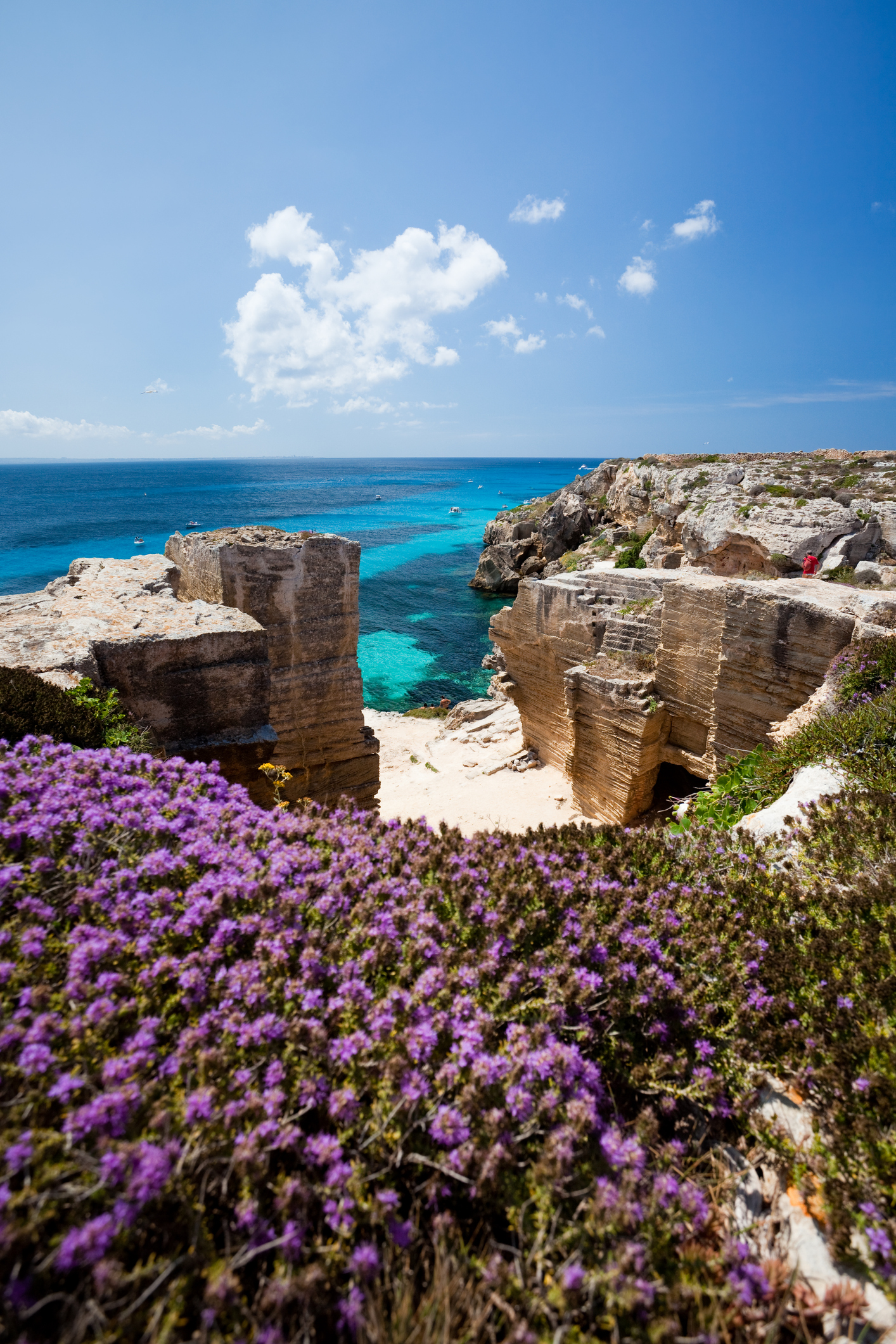 Isola di Favignana
