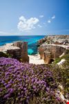 Isola di Favignana