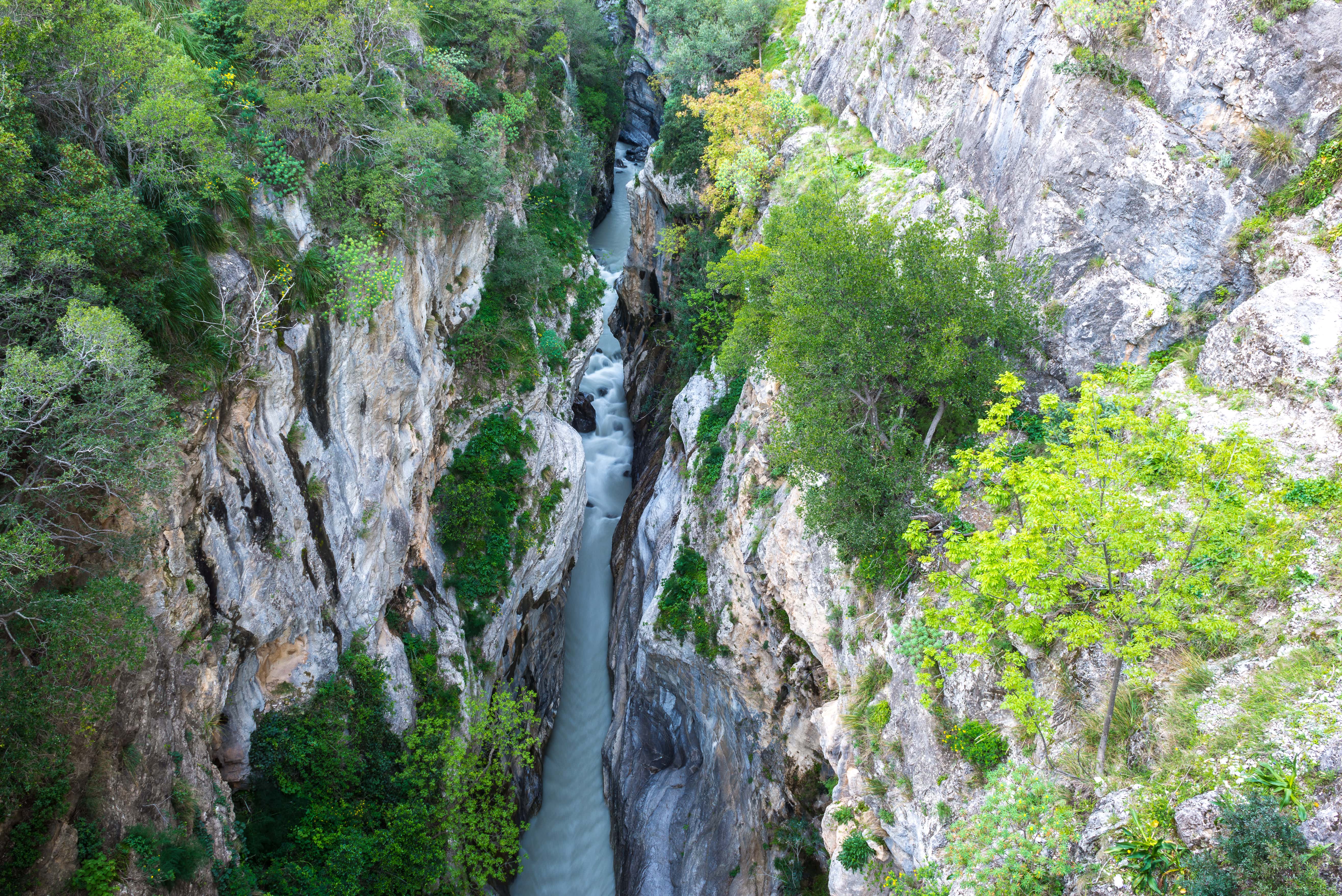 Raganello