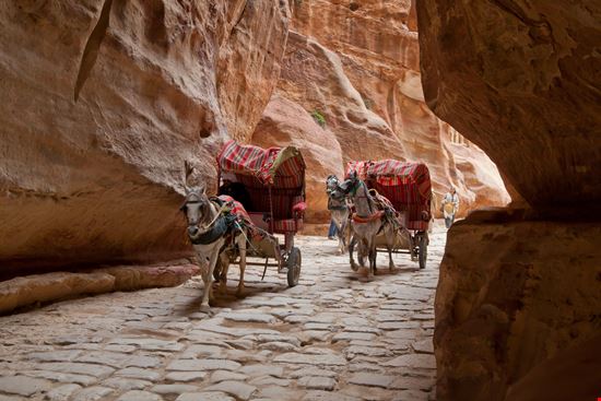 Petra Siq stock.adobe.com 