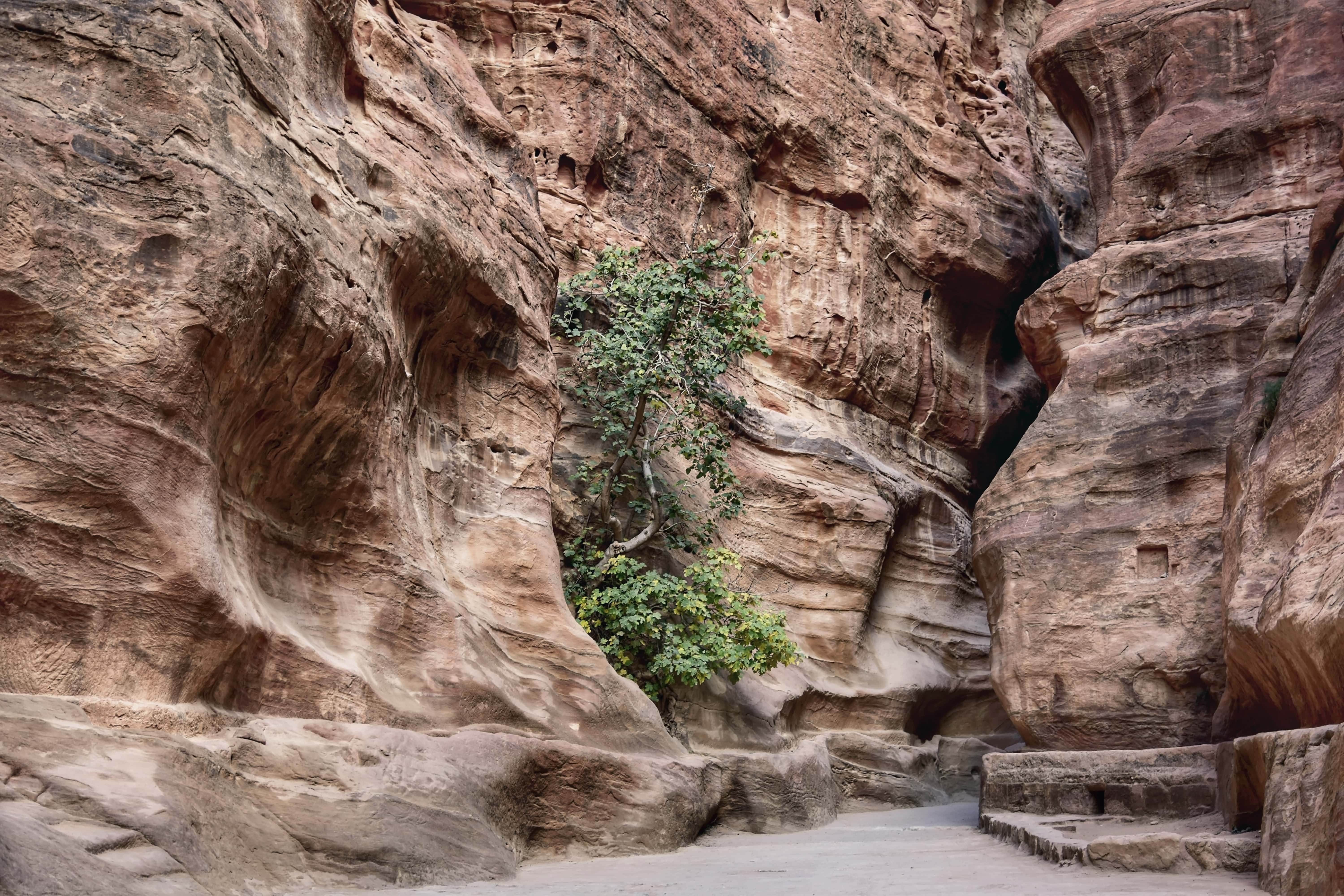 Petra