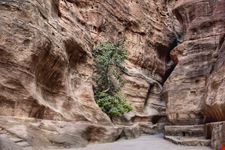 Petra