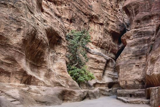 Petra Siq stock.adobe.com 