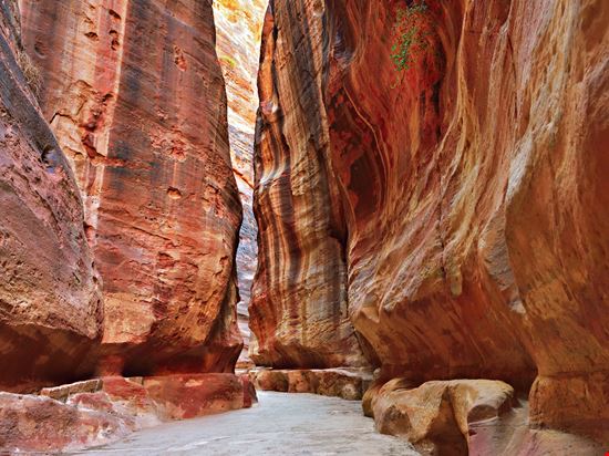 Petra Siq stock.adobe.com 