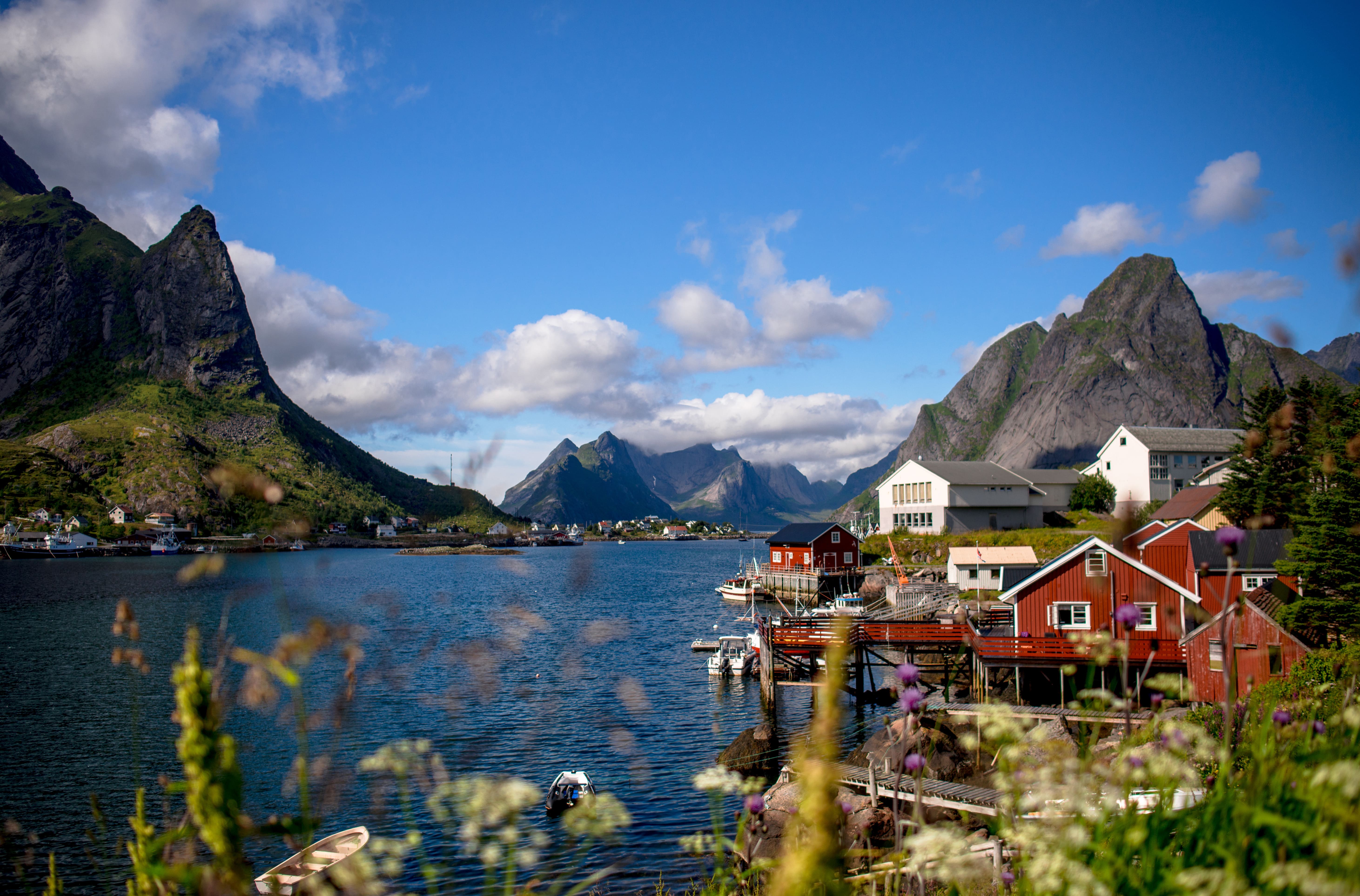 Reine