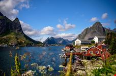 Reine