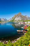 Reine
