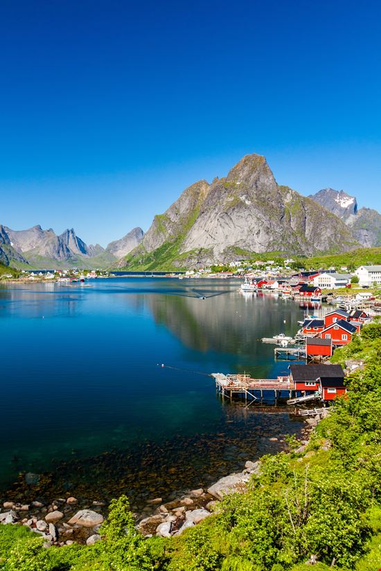 Reine Il villaggio sui fiordi norvegesi stock.adobe.com 