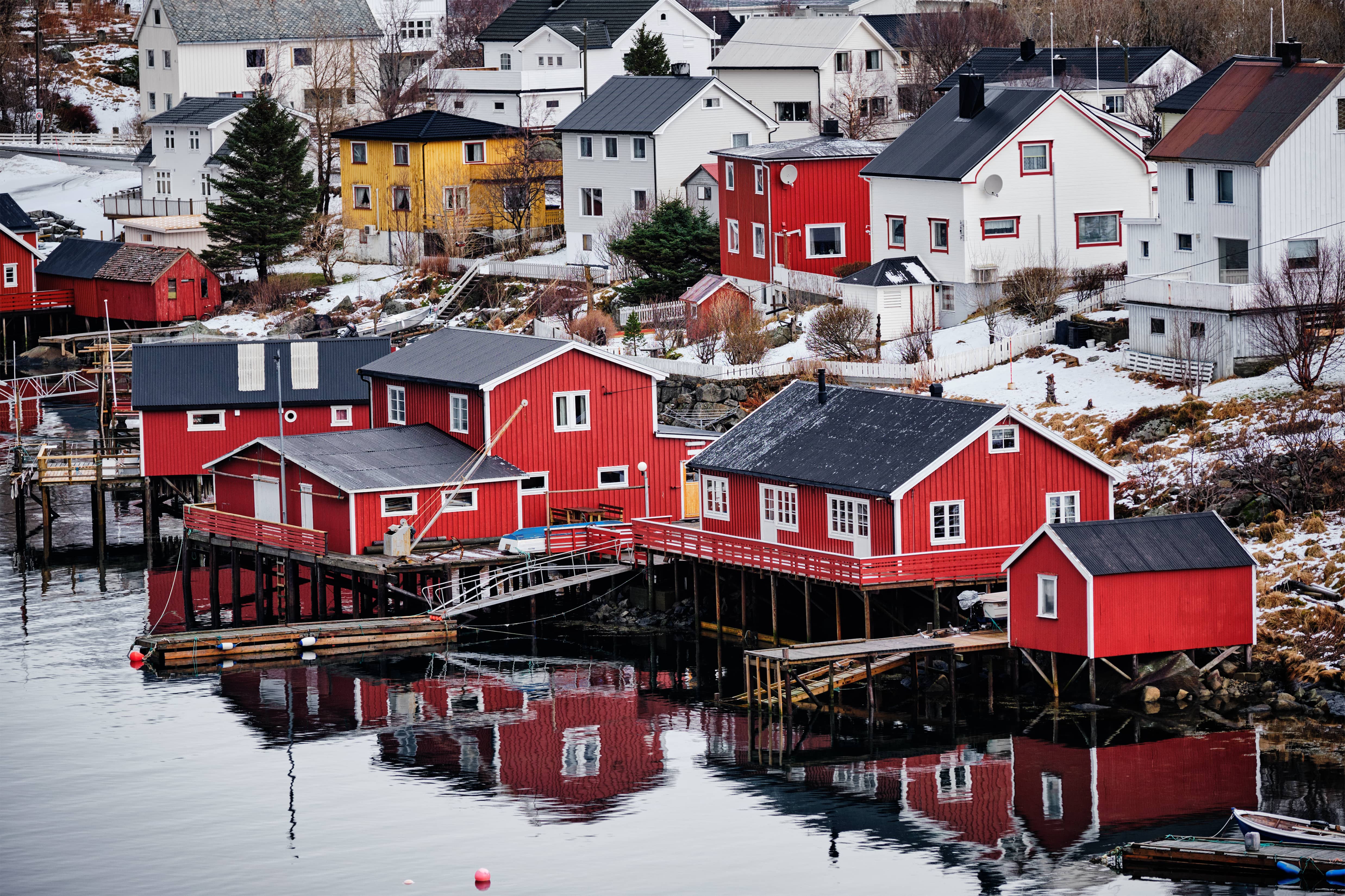 Reine