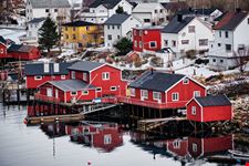 Reine