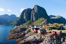 Reine