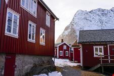 Reine