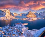 Reine