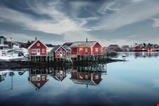 Reine