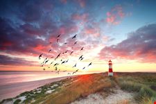 Sylt