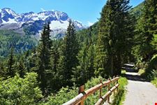 Passo del Tonale