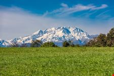 Monte Rosa