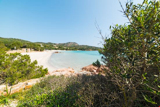 Porto Istana Porto Istana Hibiscus81 - Istockphoto.com 