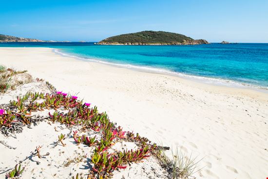 Spiaggia di Tuerredda Scatti e dettagli della Spiaggia di Tuerredda  