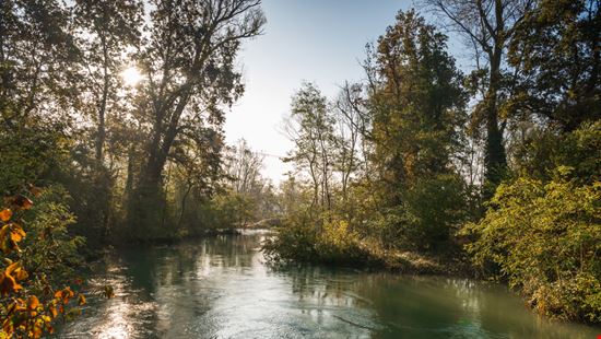 Naviglio di Bereguardo Un itinerario tra verde e storia MORENO01 - Shutterstock.com 