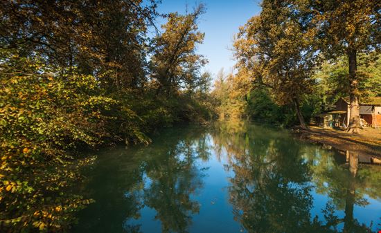 Naviglio di Bereguardo Un itinerario tra verde e storia MORENO01 - Shutterstock.com 