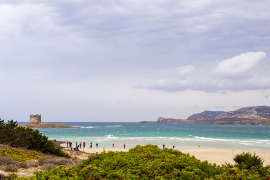 Stintino Spiaggia La Pelosa Nadya Semenchik - Shutterstock.com 