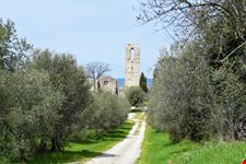 Isola Polvese