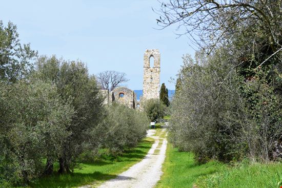 Isola Polvese Isola Polvese Gianni Barbieri - Shutterstock.com 