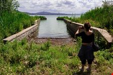 Isola Polvese
