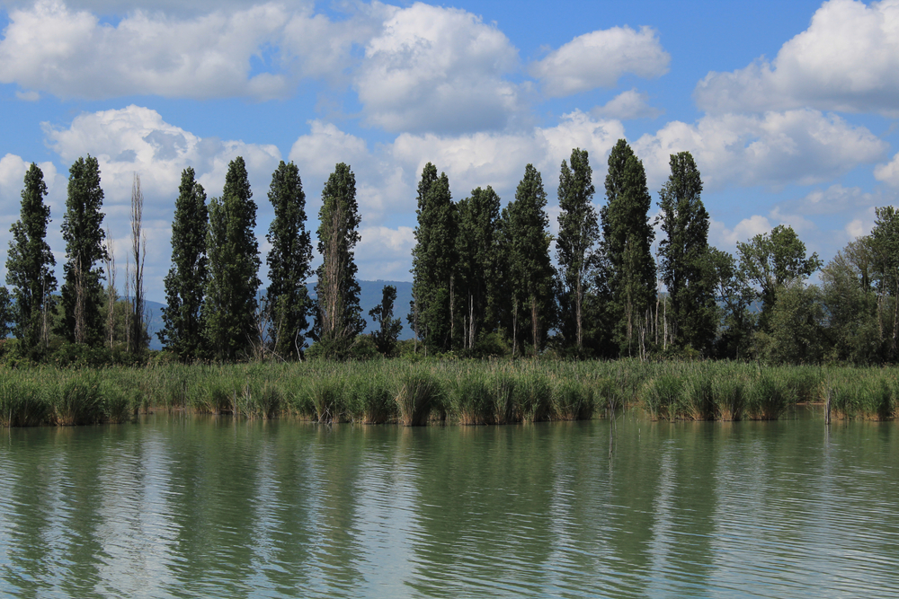Isola Polvese