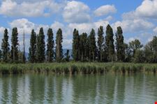 Isola Polvese