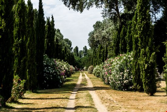 Isola Polvese Isola Polvese Zapatastock - Shutterstock.com 