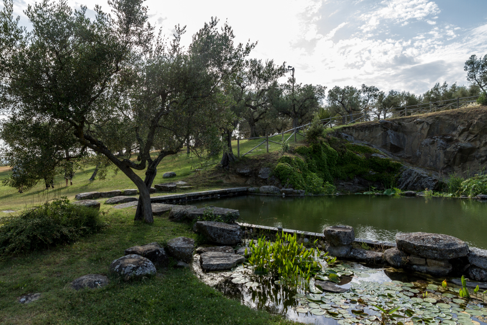 Isola Polvese