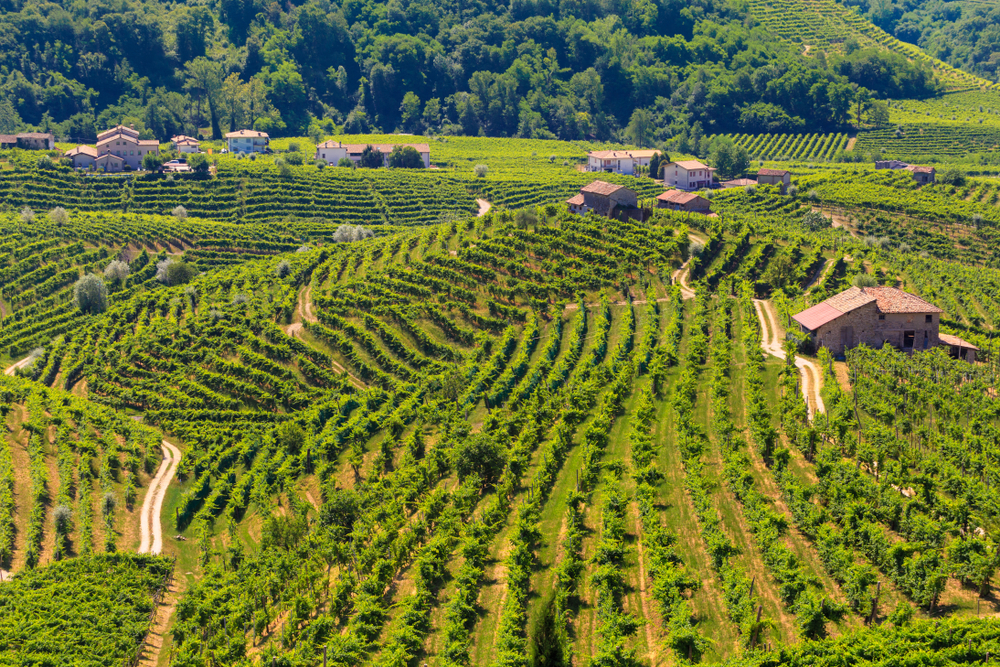 Il piccolo borgo di Rolle tra i vigneti