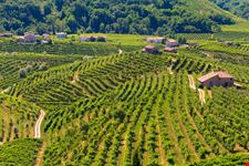 Il piccolo borgo di Rolle tra i vigneti