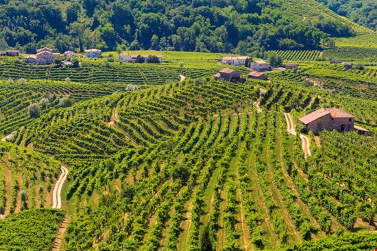 Il piccolo borgo di Rolle tra i vigneti Il piccolo borgo di Rolle tra i vigneti Marco Florian - Shutterstock.com 