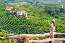 Il piccolo borgo di Rolle tra i vigneti