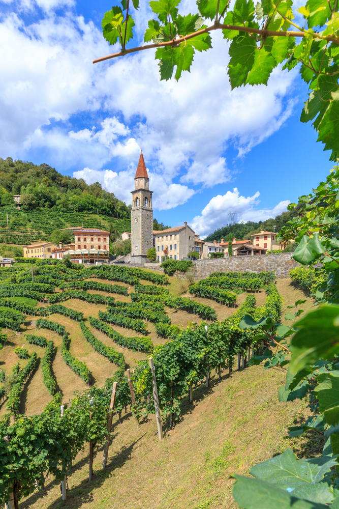 Il piccolo borgo di Rolle tra i vigneti