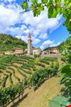 Il piccolo borgo di Rolle tra i vigneti