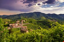 Il piccolo borgo di Rolle tra i vigneti