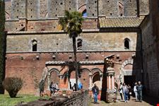 Abbazia di San Galgano, dettagli